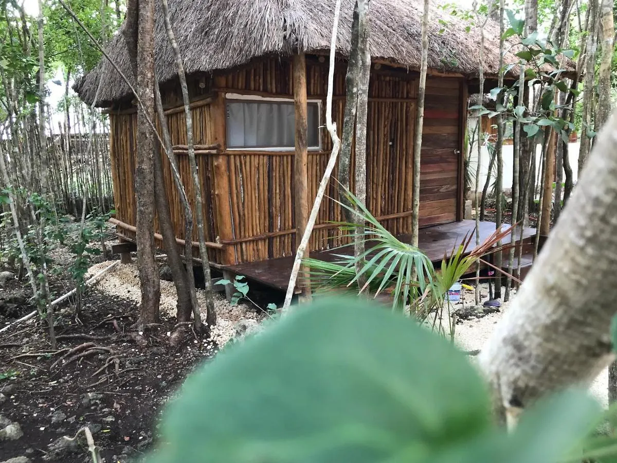 Bayou Tulum Pueblo 2*,