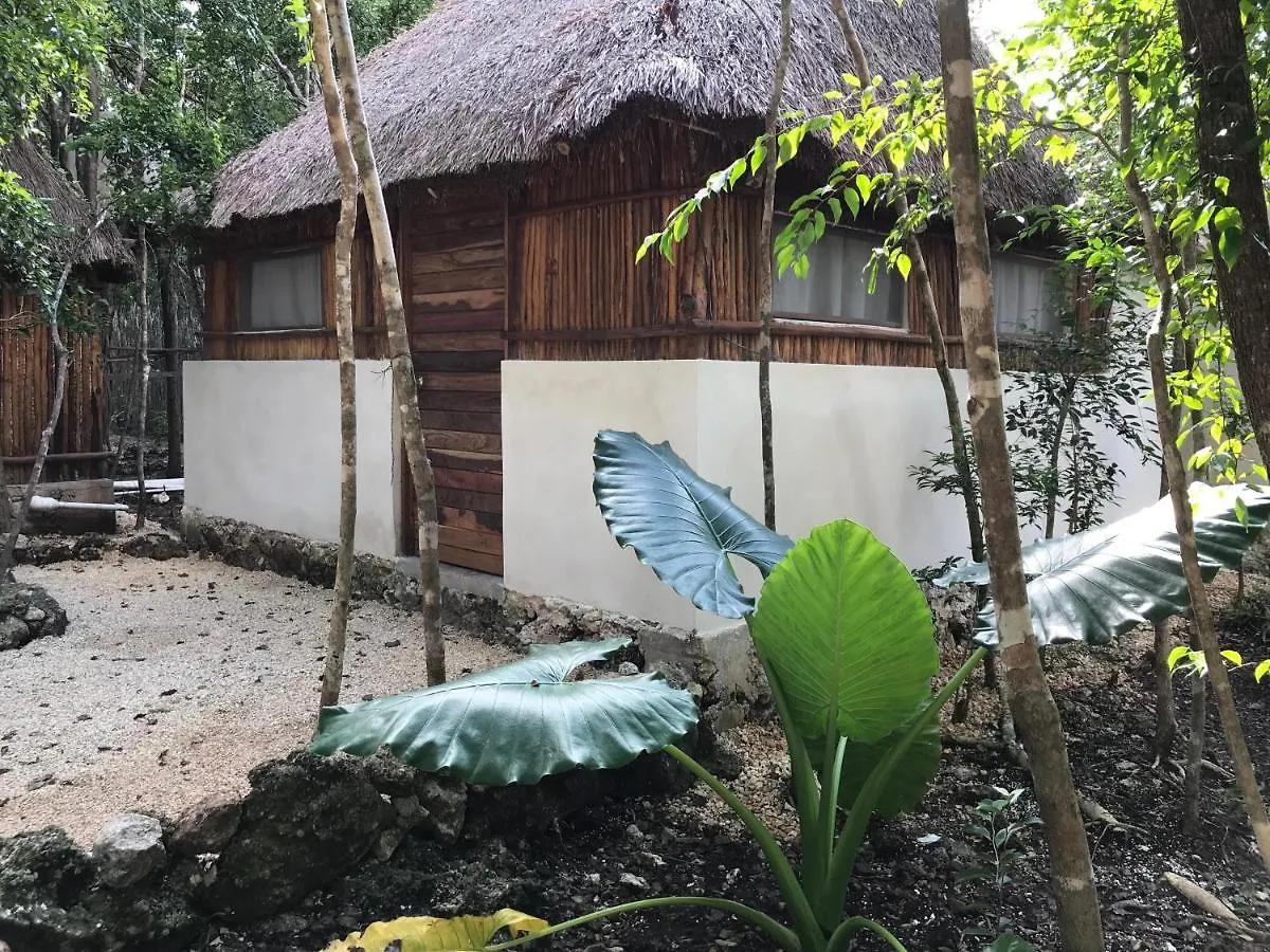 ** Hotel Bayou Tulum Pueblo Mexico