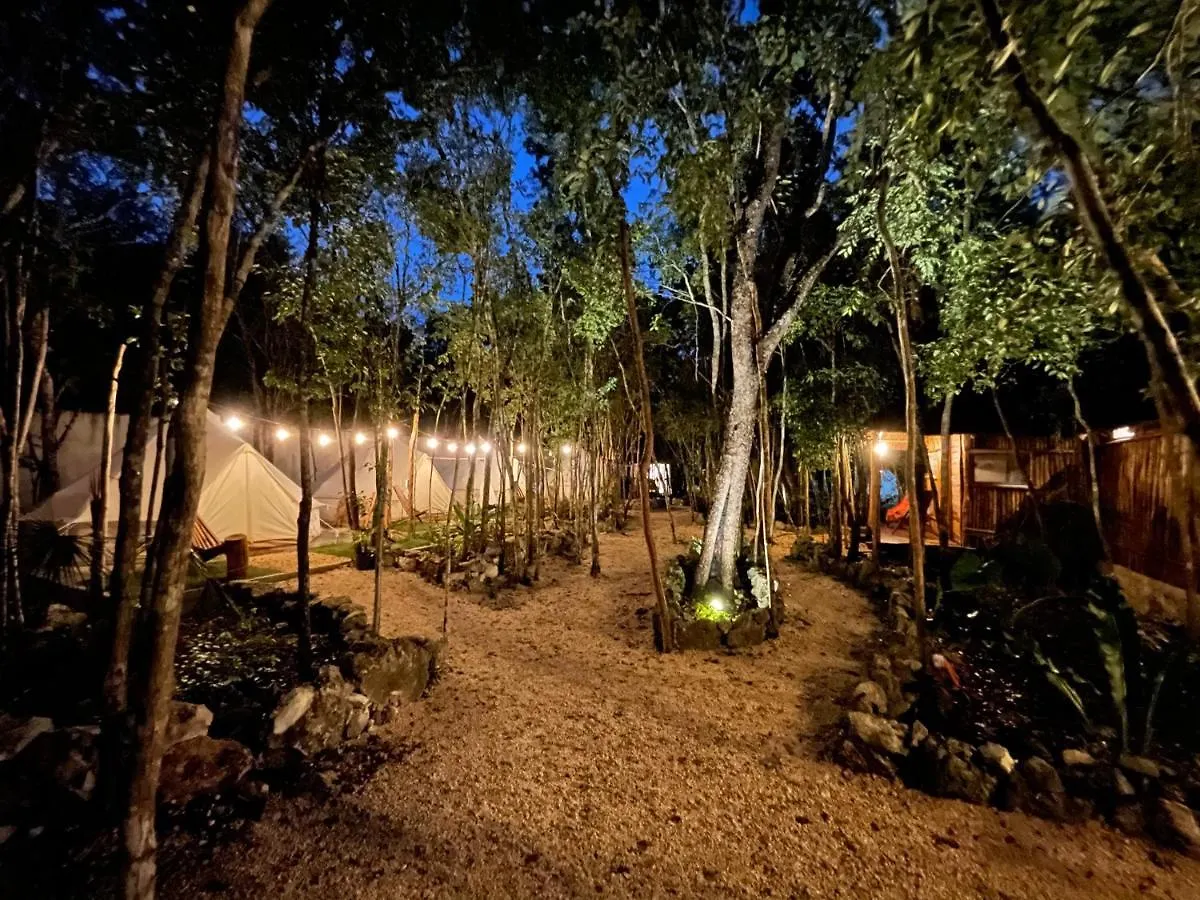 Bayou Tulum