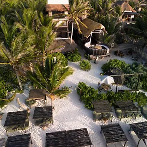 **** Hotel Orchid House (adults Only) Mexico